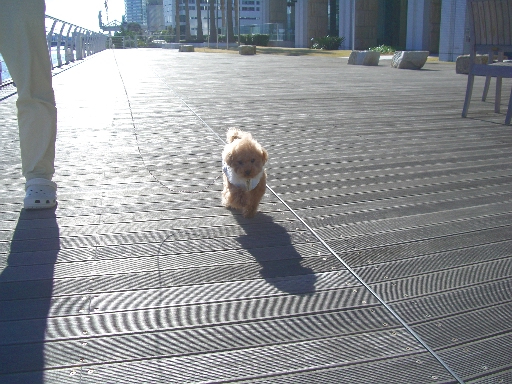 c0110906_11125388.jpg