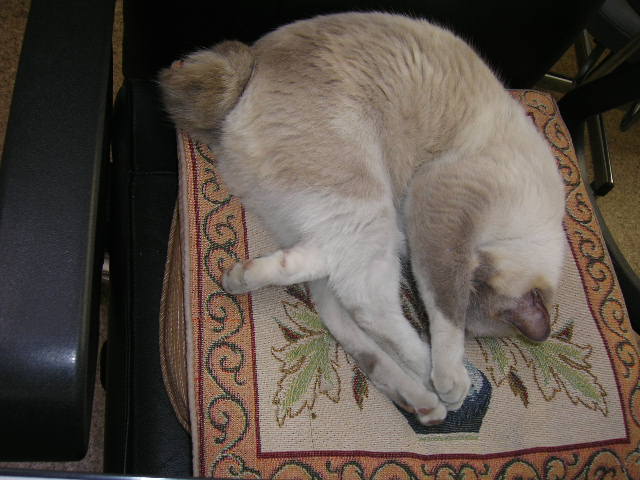d0101409_2202433.jpg