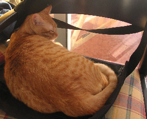 e0115312_16166.jpg
