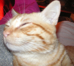 e0115312_181648.jpg