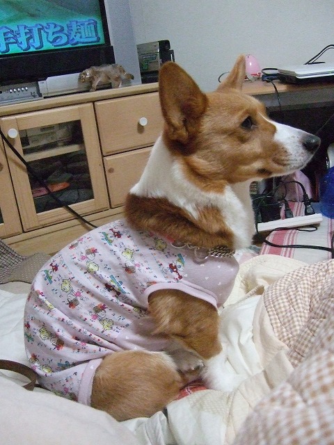 c0127617_00485.jpg