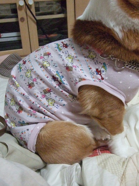 c0127617_013939.jpg