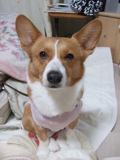 c0127617_021656.jpg