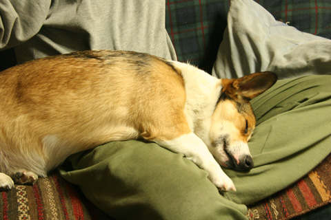 e0071225_174066.jpg