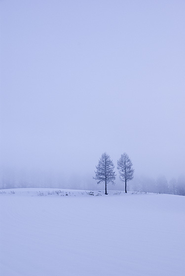 e0025030_16315548.jpg