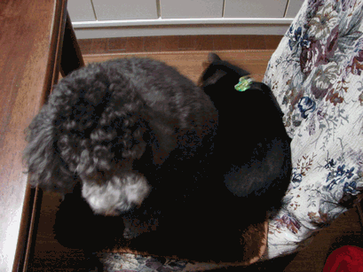 c0136736_2256249.gif