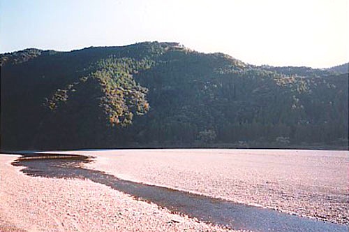 a0095337_1756951.jpg