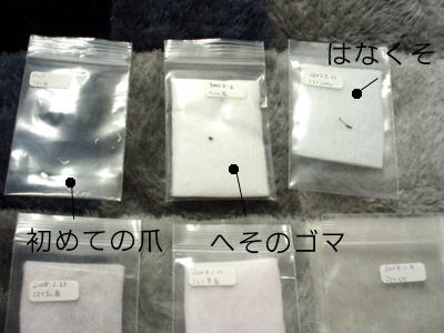 c0132438_23382243.jpg
