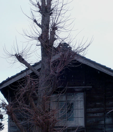 c0131544_629544.jpg