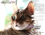 Nijiiro Catのカバーガールならぬカバーボーイになりました。＾＾