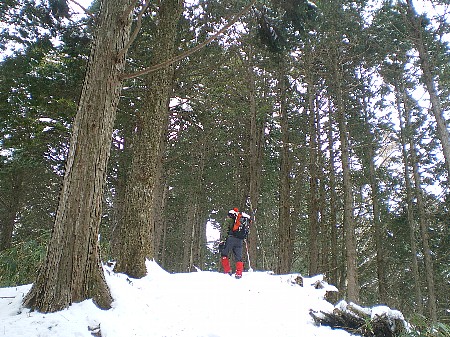 c0042847_18435348.jpg