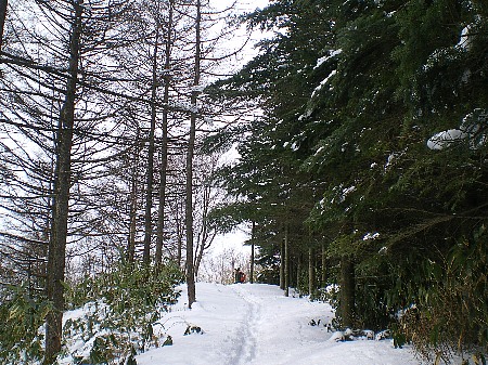 c0042847_18442567.jpg