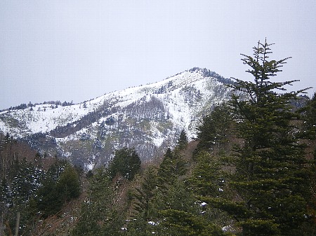 c0042847_18472367.jpg