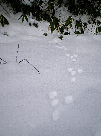 c0042847_18485660.jpg