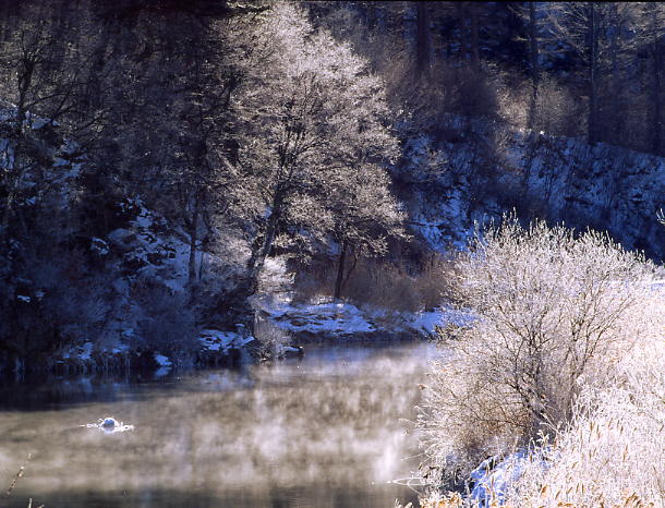 b0083855_22162234.jpg