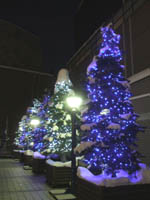 c0097856_2327653.jpg