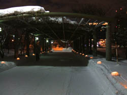 c0097856_23834.jpg