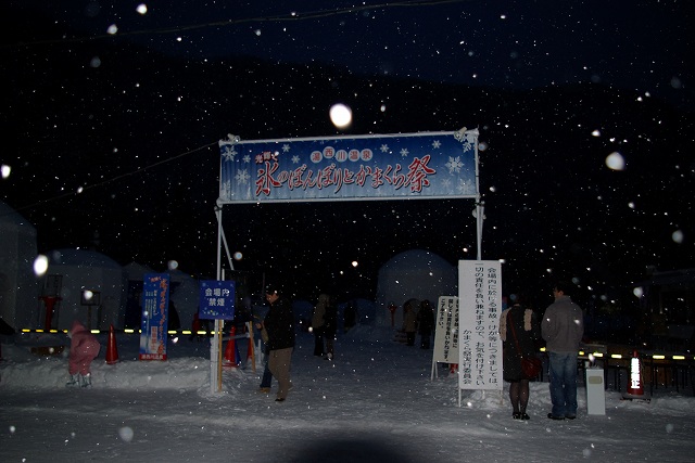 d0004158_21502938.jpg