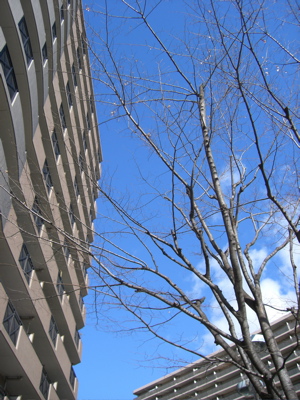 c0151875_1631178.jpg