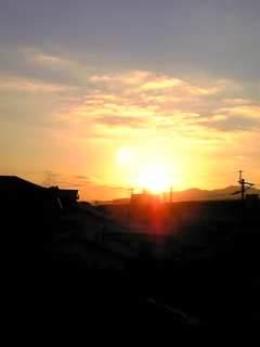 a0071787_913445.jpg