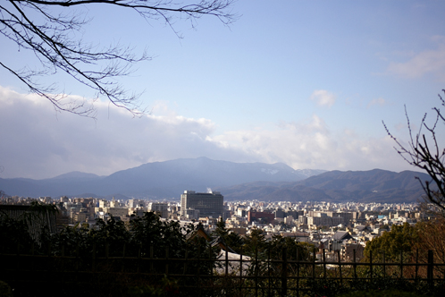 b0080789_21491123.jpg