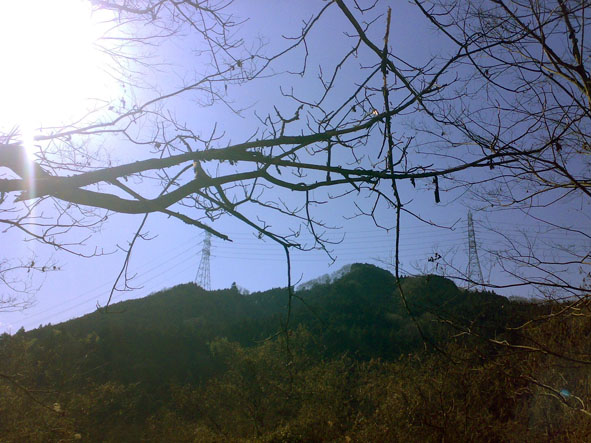 c0123189_358048.jpg
