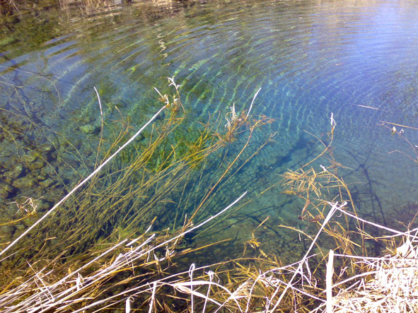 c0123189_3582592.jpg