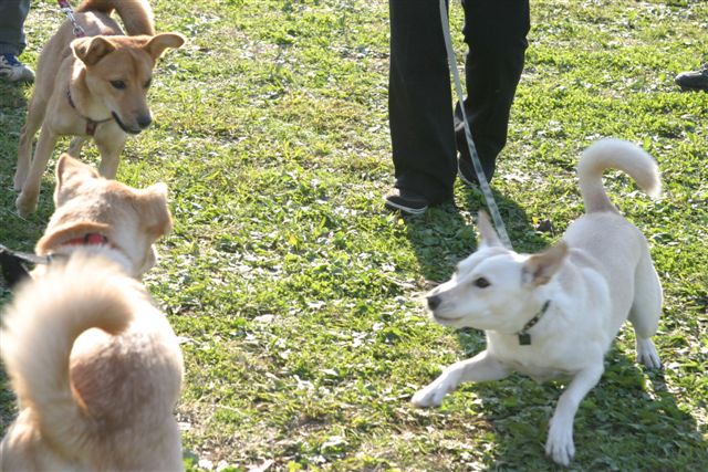 f0123098_1201210.jpg