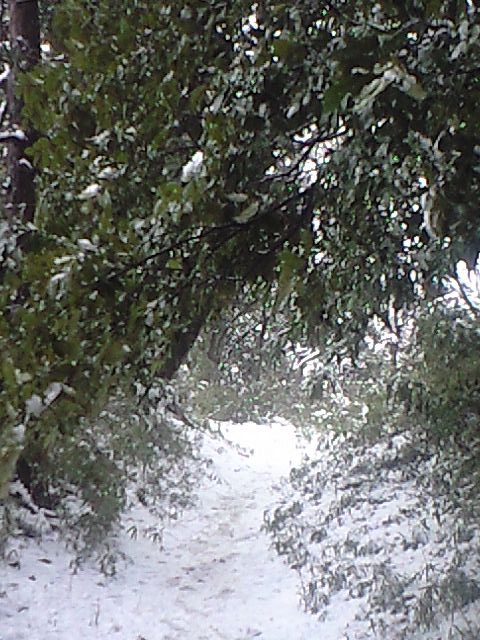 b0083902_16212524.jpg