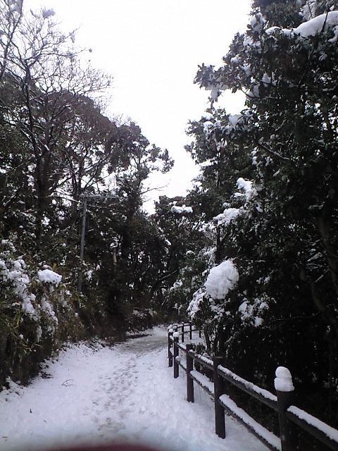 b0083902_1625321.jpg