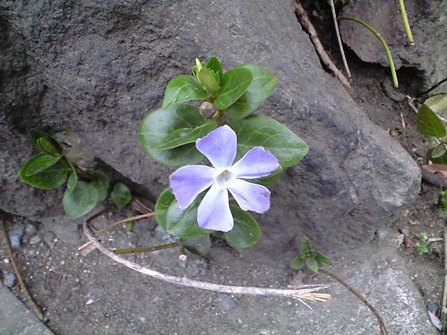 b0083902_17245799.jpg