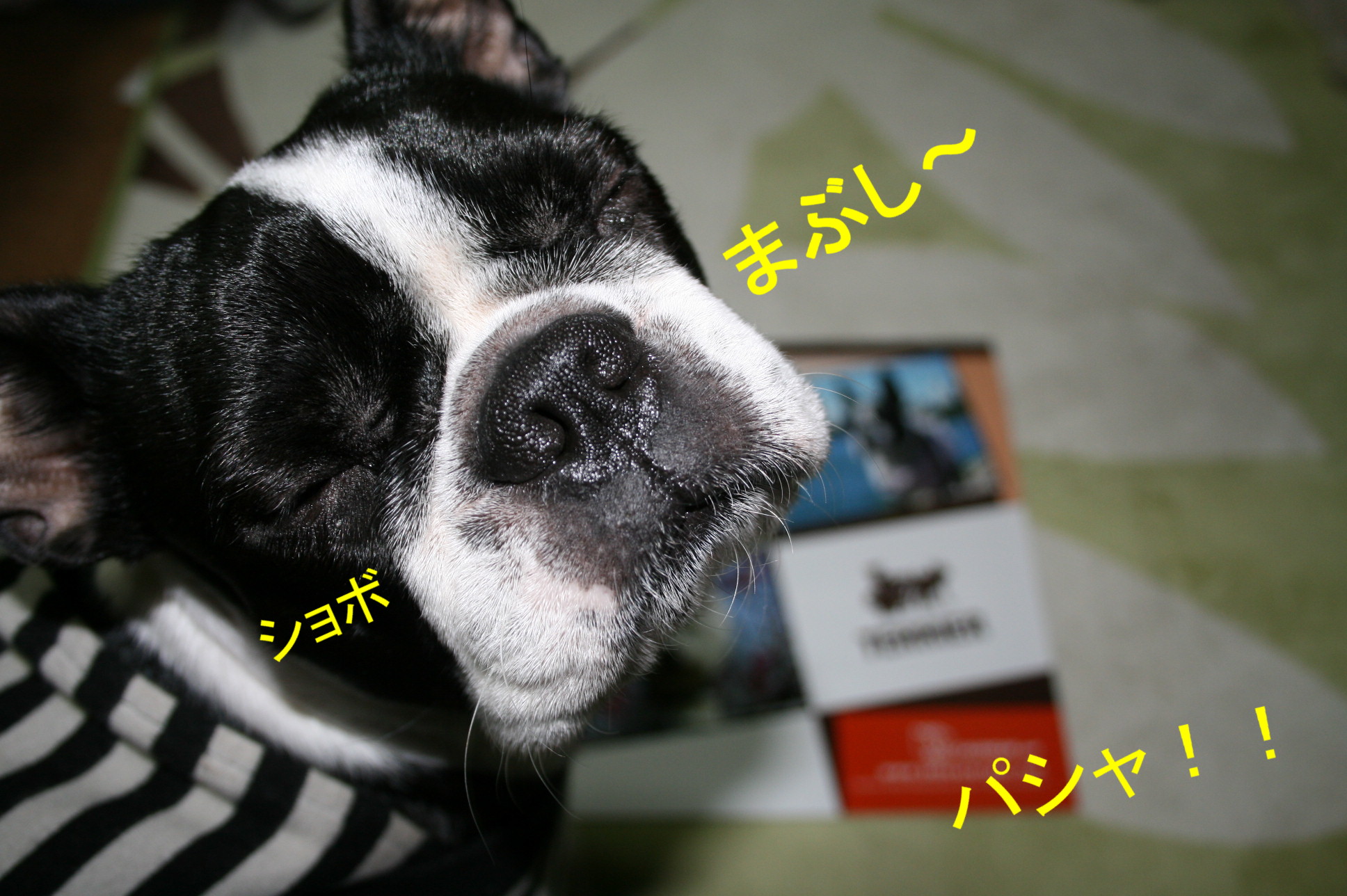 d0070702_024013.jpg
