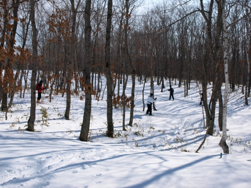 f0020302_1971325.jpg