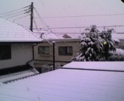 c0071003_1021213.jpg
