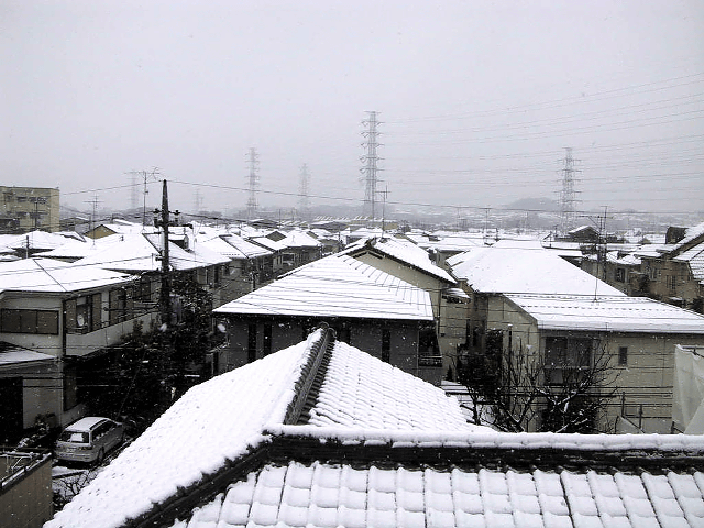 a0006605_1395335.gif