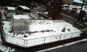 c0061405_13324453.jpg