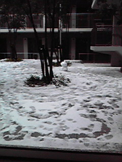c0014906_1455962.jpg
