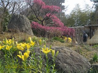 b0061107_10262332.jpg