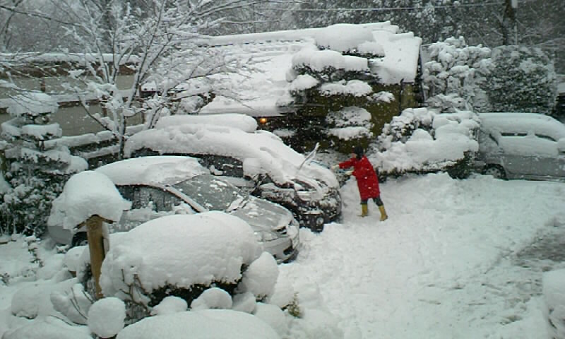 f0140307_20593897.jpg