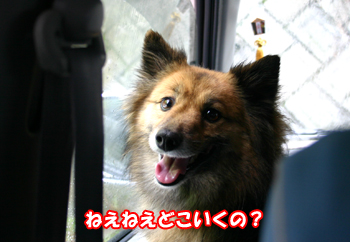 a0041108_22172369.jpg