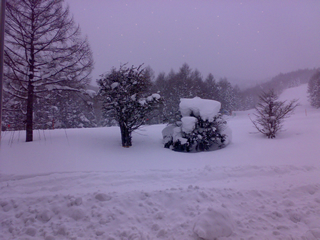f0033510_22161674.jpg