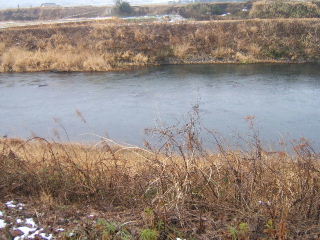 f0079411_2174925.jpg