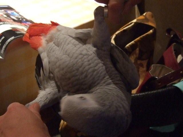 c0133013_273390.jpg