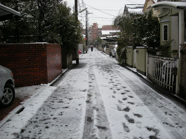 b0111116_17402650.jpg