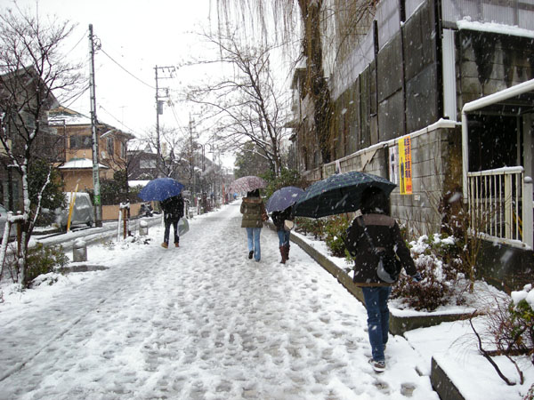 b0111116_1751477.jpg