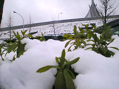 f0056516_210259.jpg