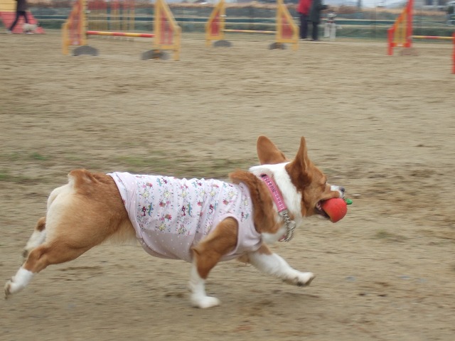 c0127617_21465163.jpg