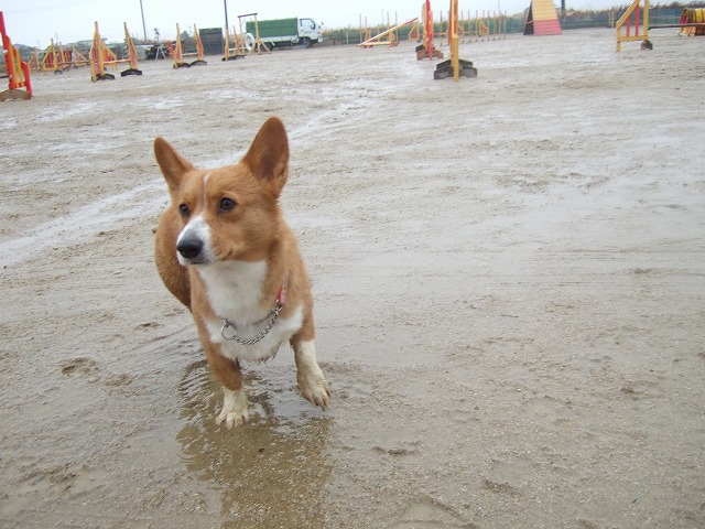 c0127617_2151035.jpg