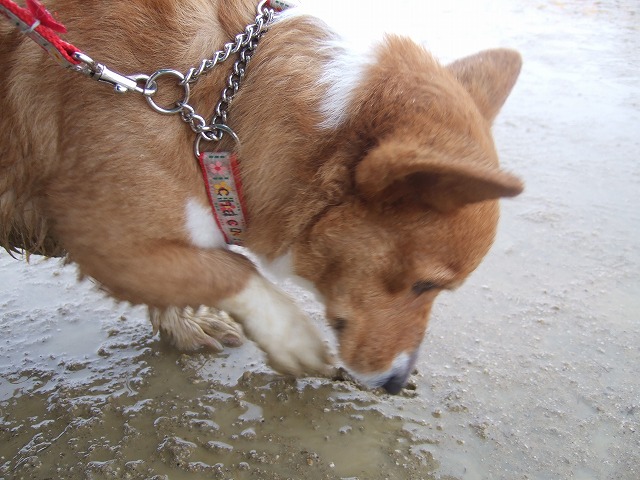 c0127617_21521313.jpg