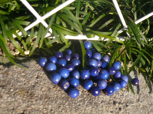 e0026017_17234294.jpg